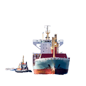 Профессиональный экспедитор морских грузоперевозок из Китая в Австралию/Новую Зеландию (DDP/DDU/LCL+Экспресс) - Product Image 1