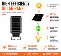 Lampadaire LED solaire haute efficacité 12W 1900lm avec contrôle d'éclairage intelligent IP65 pour application extérieure