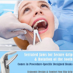 Forceps d'extraction en acier inoxydable n° 7 pour racines supérieures, modèle anglais, instruments dentaires certifiés CE 2026 - Product Image 5