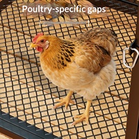 Grand poulailler extérieur en fer avec cage en maille respirante pour poulets, lapins et pigeons