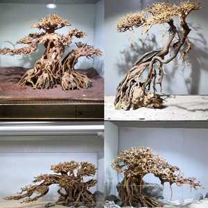 Drijfhout Braziliaanse boomstronk Thailand tak vislandschap speciaal voor kleine aquariumdecoratie woonkamer China OPp-9 - Product Image 2