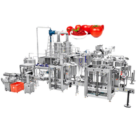 Ligne de production automatique de purée de tomates Gainjoys pour le traitement des tomates, projet complet, contrôle intelligent par PLC