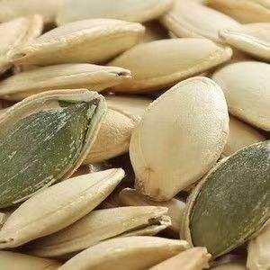 Proveedor de China, semillas de calabaza <span class=keywords><strong>blancas</strong></span> como la nieve sin cáscara secas sin cáscara, semillas de calabaza con piel brillante - Product Image 3