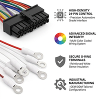 Conector de cableado automotriz multipin de fábrica directa con terminal de anillo y cable codificado por colores para módulo de control de tablero de vehículo