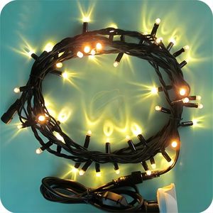 Guirlande lumineuse de vacances 30 LED 8M 220V riz led PVC guirlandes lumineuses Décoration de fête de Noël Lumières lumineuses à 360 degrés - Product Image 5