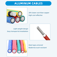 Cable Eléctrico Plano de Aluminio BLVV de 10-120 mm², Precio de Fábrica, Venta al Por Mayor