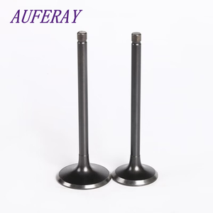 Vente en gros Cya <span class=keywords><strong>Dls</strong></span> 1008976-H80 CS95 2.0T 486ZQ4 486ZQ3 Racing Seat Turbo Valve Tappets Soupapes de moteur d'échappement de voiture pour CHANG an - Product Image 1