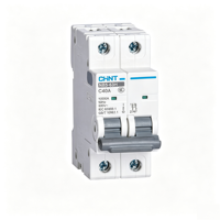Disjoncteur miniature CHINT NB5-63H C40A 1P 2P Courbe C 10kA IP20 AC220V AC230V Rail DIN Certifié CE CB Cuivre PA66