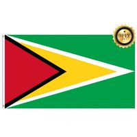 Drapeaux de la Guyane en gros 3x5 pieds, polyester 68D/100D, personnalisation pour toutes les nations, expédition rapide, fournisseur fiable, livraison rapide
