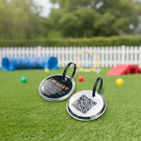 Mini pendentif de plaque d'identité pour chien, étanche, époxy, RFID 213/215/216 NFC 13,56 MHz, étiquettes d'identification pour animaux de compagnie pour le suivi des animaux, étiquettes de contrôle d'accès OEM