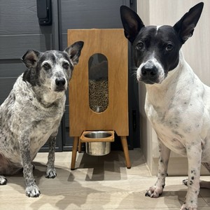 Dispenser Automatico Premium Nero Opaco per Cibo Cani e Gatti, Grande Capacità, Impermeabile, Anti-umidità, con Ciotola Artigianale da 20 libbre - Product Image 1