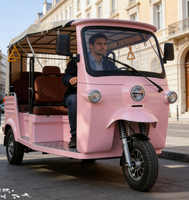 Tricycle électrique certifié EEC pour 6 passagers, auto-rickshaw électrique, batterie LiPO4 72V 250Ah, vitesse maximale de 45 km/h