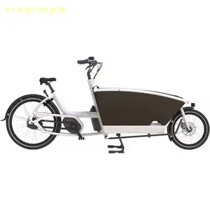 CE-geprüftes Elektro fahrrad Cargo Bike 2 Rad, 250W Motor Elektrisches Pedal Kids Cargo Bike, gebogene Holzkiste Family Cargo Bike