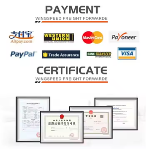 DDP/DDU экспресс-доставка из Китая в Нигерию и Южную Африку LCL + Экспресс-поставщик логистических услуг - Product Image 6