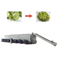 Mesin Pengering Snack dari Produsen Asli, Mesin Pengering Alfalfa dengan Sabuk Jala, Mesin Pengering Bawang/Kurma/Kelapa, Mesin Pengering Mangga