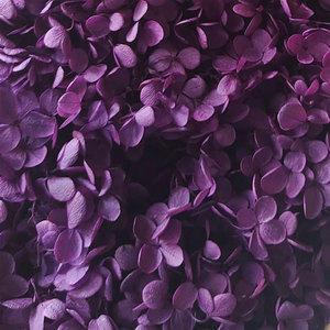 Pétalos de Hortensia Preservados, Flores Secas para Manualidades, Suministros para DIY, Regalo Perfecto para el Día de la Madre, Caja Cuadrada para Arte en Resina, Fabricación de Velas Eternas - Product Image 5