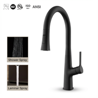 Robinet de cuisine haut de gamme CUPC avec douchette extractible 2 fonctions, bec en col de cygne, noir zinc, monocommande, trou unique
