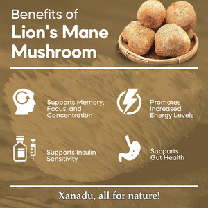 Vente en gros d'herbes saines de crinière de lions de qualité supérieure séchées de 5 à 8cm Champignon intelligent pour la culture biologique naturelle du thé et du café gommeux - Product Image 3