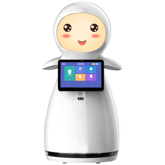 Robotic Manufacturer Smart Intelligent Humanoid Robot for School Children