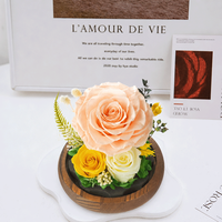 Moederdag cadeau groothandel eeuwige bloemen voor altijd bloemen in doos natuurlijke geconserveerde rozen voor Valentijnsdag