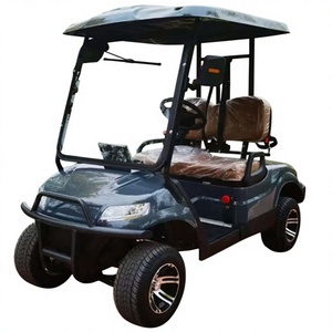 Personnalisez chaque détail pour votre chariot de golf électrique deux places avec moteur de 3500W-7500W et batterie au lithium - Product Image 1