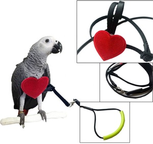 Harnais pour oiseaux - Laisse réglable pour perroquet, laisse pour oiseaux, corde d'entraînement au vol pour petits et moyens oiseaux - Taille XS S M - Product Image 2