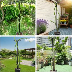 Treillis pour fruit du dragon en métal, durable, léger, moderne, <span class=keywords><strong>support</strong></span> <span class=keywords><strong>de</strong></span> jardin extérieur, plantes grimpantes, montage facile, structure verticale - Product Image 5