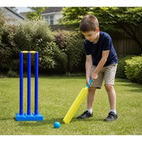Juego de Críquet de Juguete con Bate y Pelota de PP/PE, con Caja de Color, para Niños, Juego en el Patio Trasero, Personalizable OEM