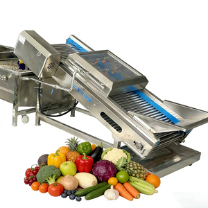 Lavadora Industrial de Verduras y Frutas con Sistema de Recirculación de Aire y Burbujas - Product Image 4