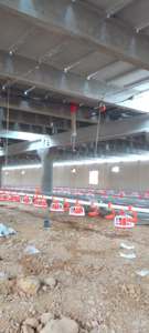 Sistema de bebida para pollos de engorde: línea de alimentación para aves con bebederos para animales - Product Image 6