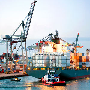 Hızlı teslimat profesyonel hava deniz ekspres Shopify nakliye ajan nakliye abd fransa almanya İtalya sipariş yerine otomatik - Product Image 1