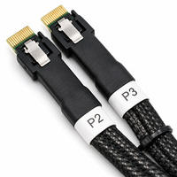 Câble interne de serveur PCIe Gen5 MCIO 8I vers 2X SlimSAS 4I, 74 broches 38 broches, brancheur en Y pour carte HBA RAID vers backplane de lecteur