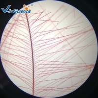 Botany Leaf and Animal Histological Teaching Slides Microscope-prepared Animal Biology Slides for Medical Science