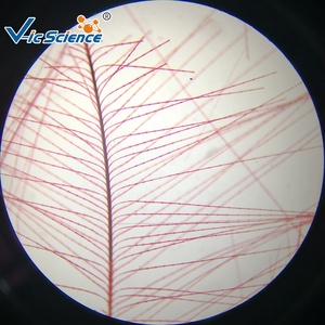 Thực vật học lá và động vật mô học giảng dạy Slide kính hiển vi chuẩn bị động vật sinh học Slide cho khoa học y tế - Product Image 2