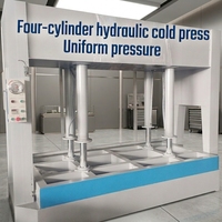 Presse à froid entièrement automatique de 60 tonnes pour le travail du bois, à faible bruit, pour le collage de panneaux écologiques, directement de l'usine