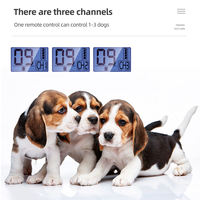Entraîneur de chien à distance T755, portée 800m, étanche IP67, vibrations, lumière, 3 canaux, vente en gros OEM