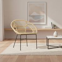 Chaises en rotin pour terrasse extérieure, balcon, table basse de cour, petites tables et chaises, chaises décontractées à dossier en rotin