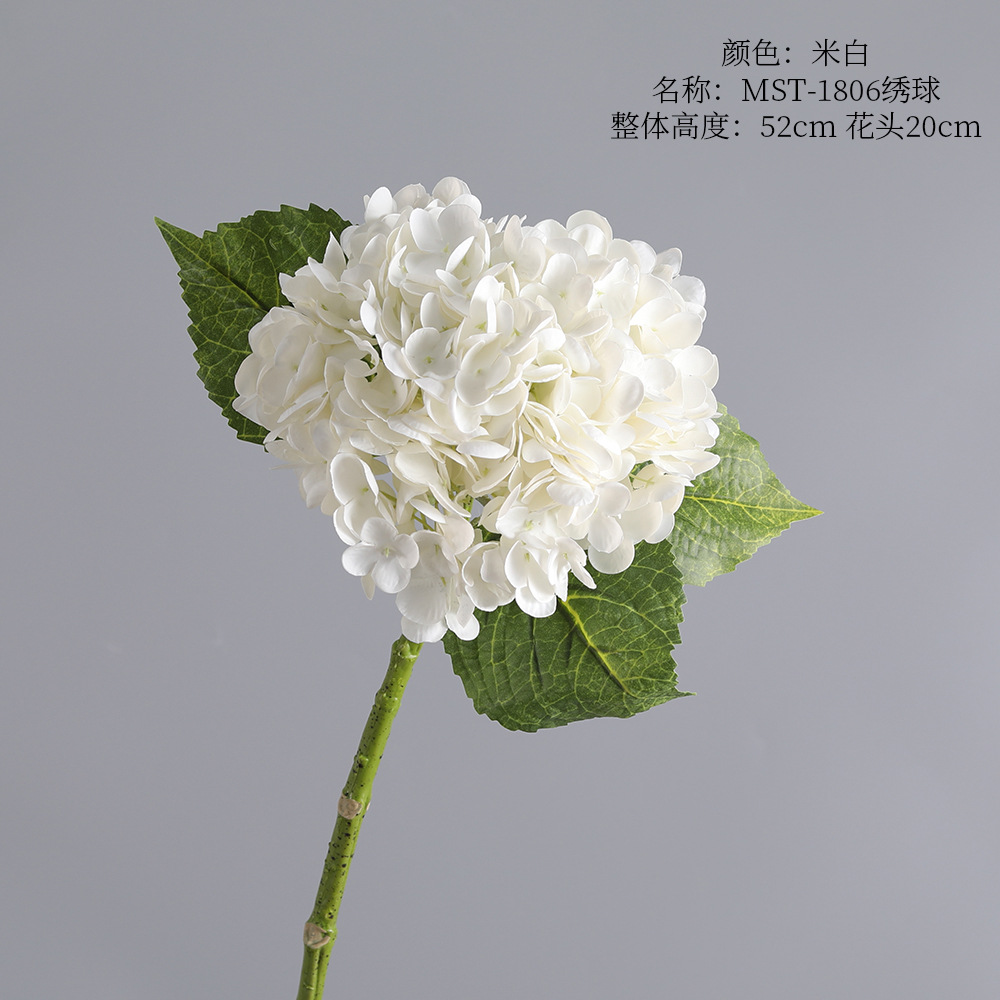 Mst-1806 hortensia-arroz blanco