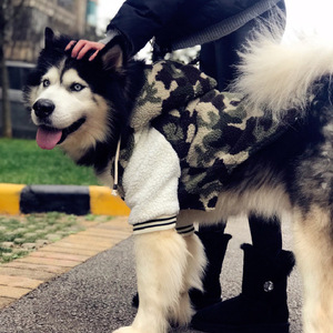 Chaqueta Casual con Capucha para Perro, de Algodón Estampado, para Razas Medianas y Grandes, Abrigo de Invierno para Mascotas - Product Image 4