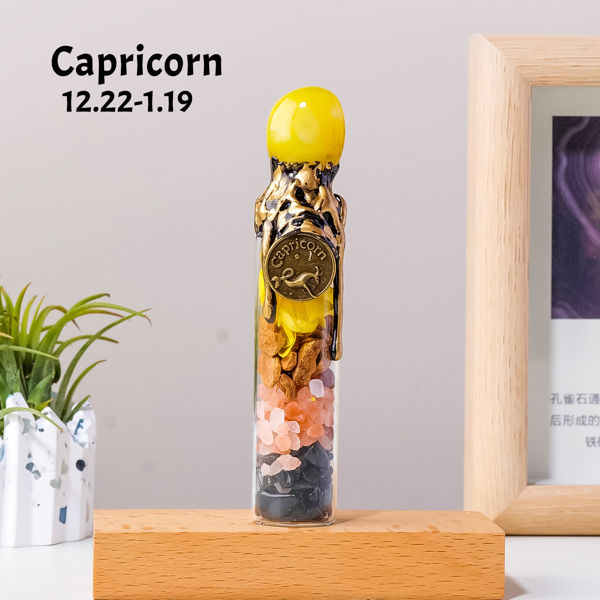 Capricorn