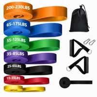 Oferta Especial: Set de Bandas de Resistencia de Látex Natural Directo de Fábrica con Asas, Anclaje para Puerta, Mosquetón y Bolsa de Almacenamiento para Entrenamiento en Casa