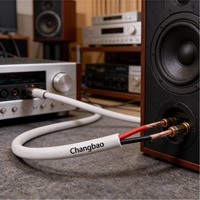 Cable de Audio de 2 Núcleos de 14 AWG OFC de Bajo Ruido para Altavoz y Micrófono, Cable de Altavoz de 2 Núcleos de 16 AWG con Aislamiento de PVC y Conductor OFC ODM