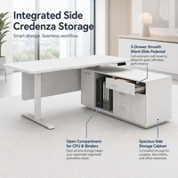 Bureau debout électrique modulaire personnalisé, poste de travail exécutif réglable en hauteur avec armoire latérale pour bureau d'entreprise