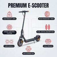 Trottinette électrique personnalisée, 10,4 Ah, pneus pleins légers de 8,5 pouces, double suspension, pliable pour adulte, OEM disponible