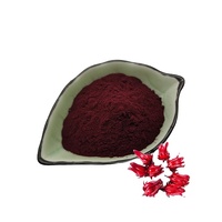 B.C.I approvisionnement d'usine 100% pur naturel Roselle poudre Hibiscus Sabdariffa fleur poudre sèche Roselle fleur extrait