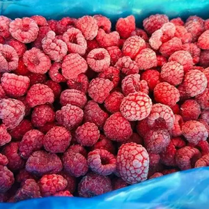 <span class=keywords><strong>Framboises</strong></span> surgelées IQF de qualité supérieure - Naturellement sucrées et riches en nutriments - Product Image 5