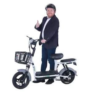 Y2-PW 2023 NEW Models Electric Bike 350W Electric Bicycle Withlead Acid Battery City E Scooter For Adults