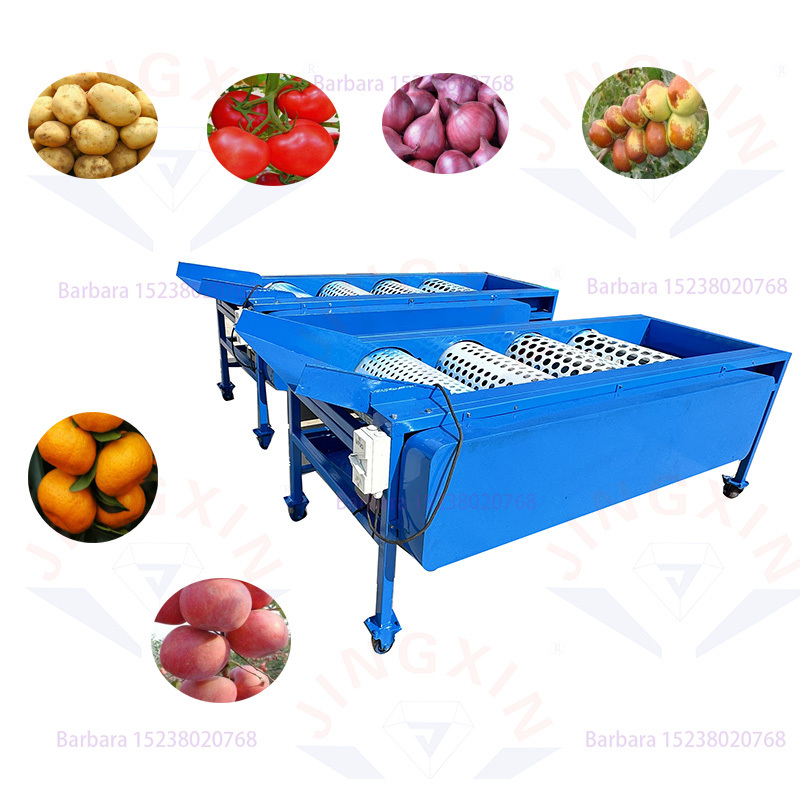 Hot Sale Fruit and Vegetable Size