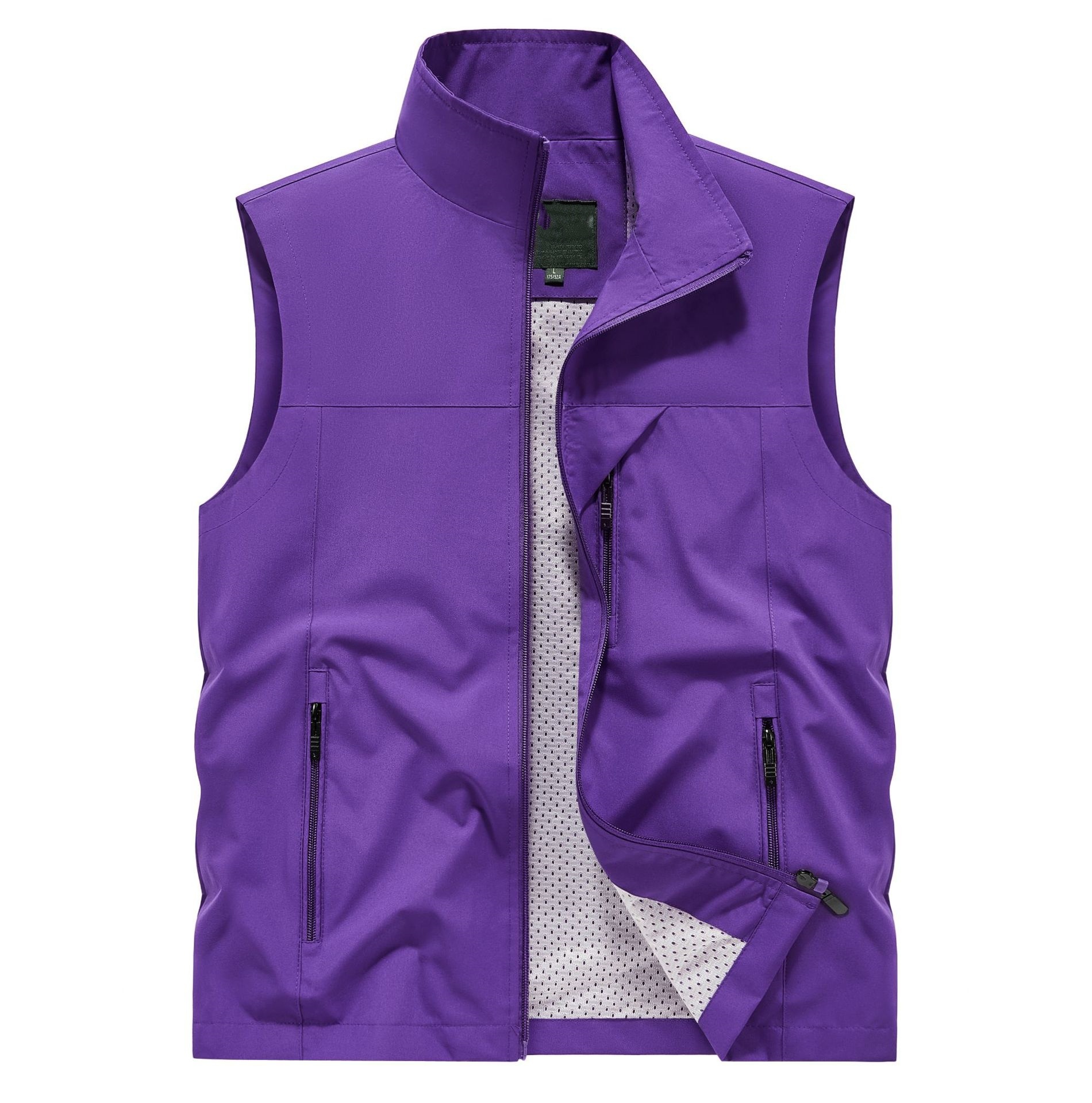 Viola
