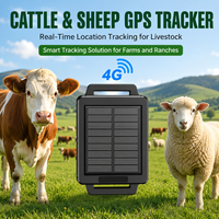TrackerKing Traceur GPS de gestion de flotte alimenté par énergie solaire Réseau 4G LTE Application Android iOS Suivi sur PC LBS Accessoires pour l'élevage